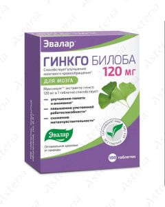 Ginkgo Biloba tablet 120mg N100